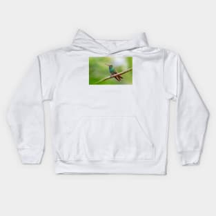 Rufous-tailed hummingbird - Costa Rica Kids Hoodie